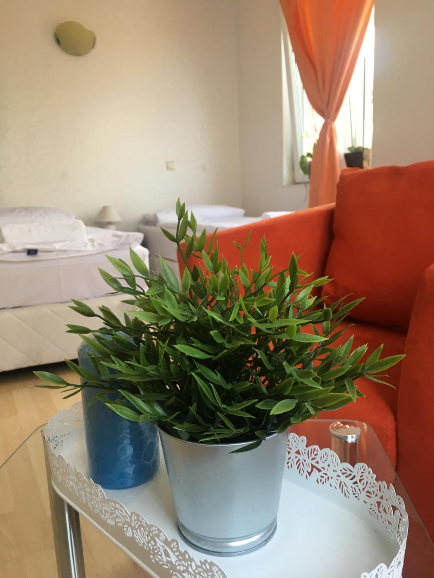 Sunray Guest House, Private Rooms & Apartment With Lovely Sea View Varna Dış mekan fotoğraf
